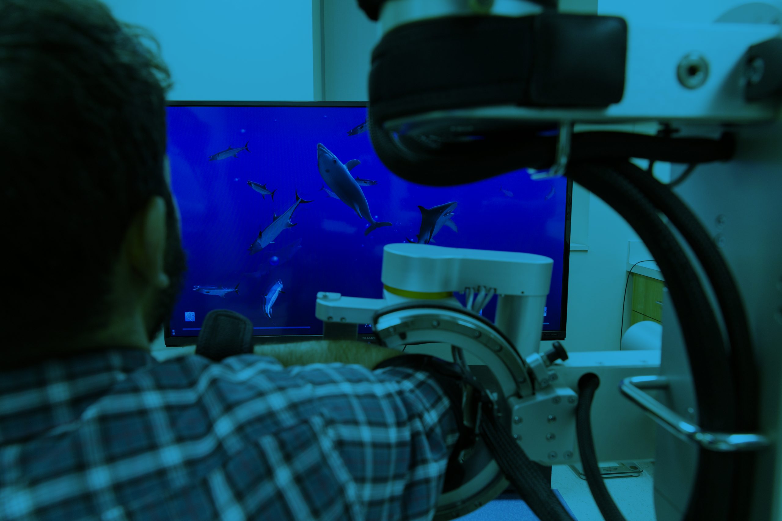 Dolphin video game for stroke rehabilitation