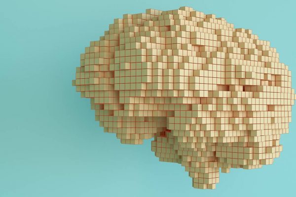 Wooden blocks form the shape of the human brain in front of a teal background.