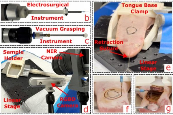Images of the (b) monopolar electrosurgical instrument; (c) vacuum grasping instrument; (d) dual-camera vision system, sample holder, grounding pad, smoke evacuation tube, linear motion stage; and (e) simulated clinical setting featuring a porcine tongue specimen stretched using retraction sutures. The close views during the (f) surface incision and (g) deep margin dissection for a pseudotumor on a porcine tongue tissue.