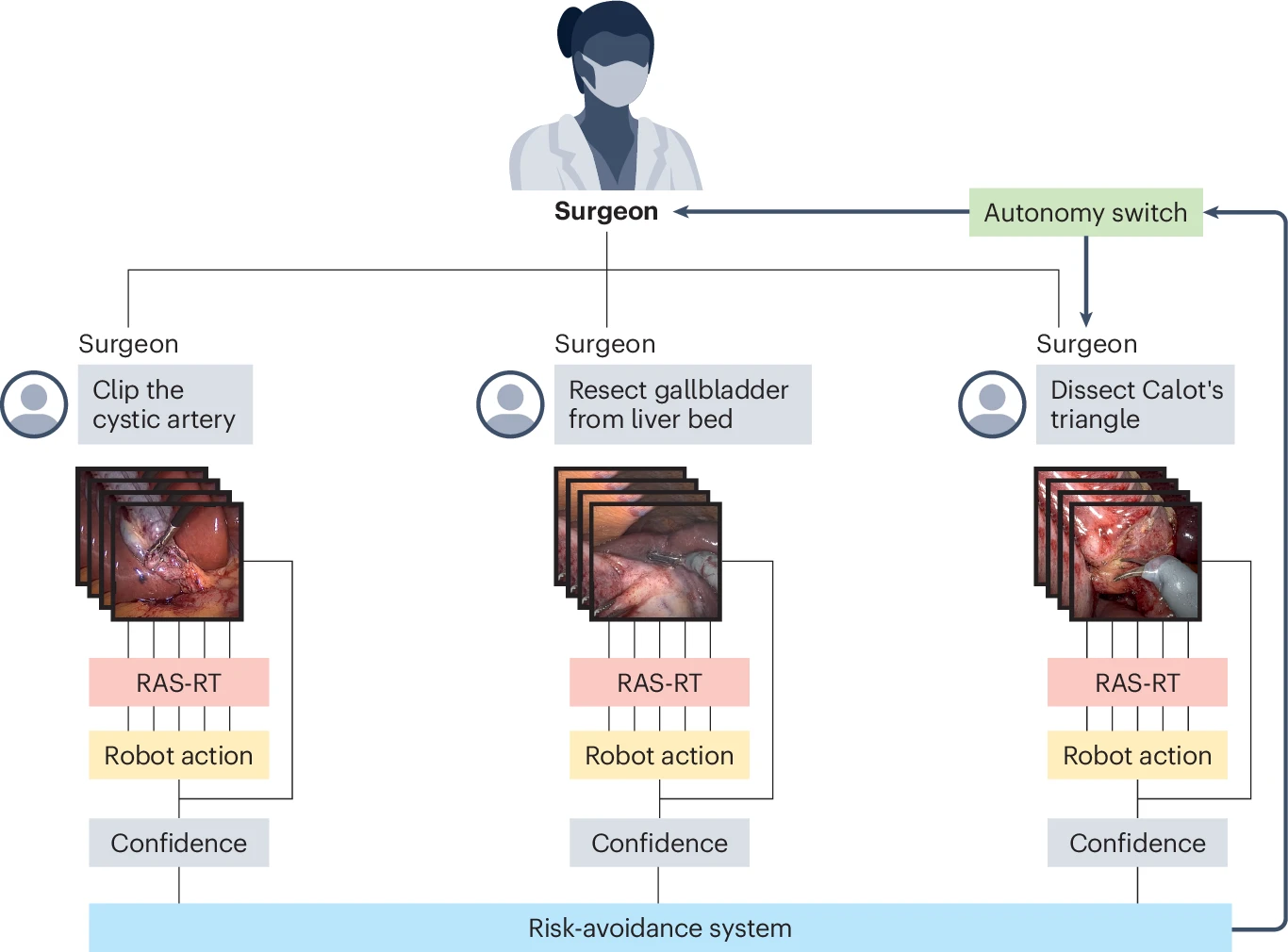 A diagram showing a surgeon, three actions (clip the cystic artery, resect gallbladder from liver bed, and dissect Calot's triangle) with RAS-RT, robot action, and confidence blocks after, leading to a risk-avoidance system block that loops back to an autonomy switch and then back to the surgeon.