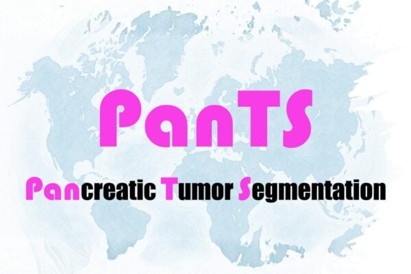 PanTS. Pancreatic Tumor Segmentation.
