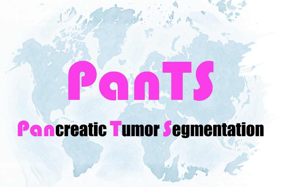 PanTS. Pancreatic Tumor Segmentation.