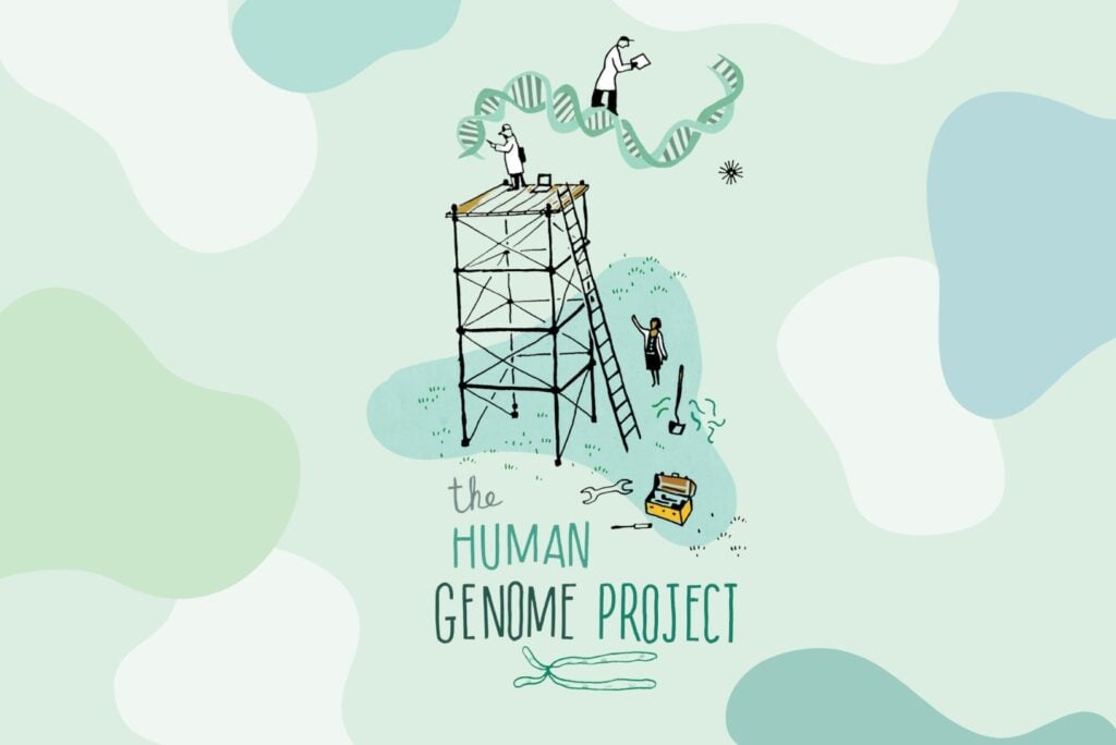 The Human Genome Project. Cartoon of scientists building a platform to study a strand of human DNA.