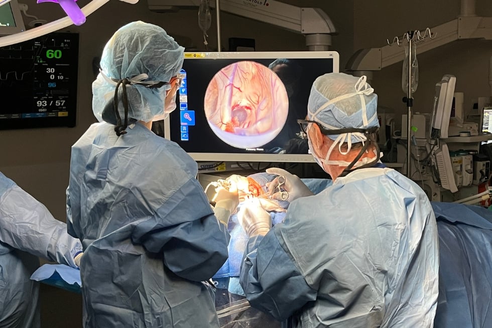Patient setup, ventriculoscope, and ventriculoscopic display.